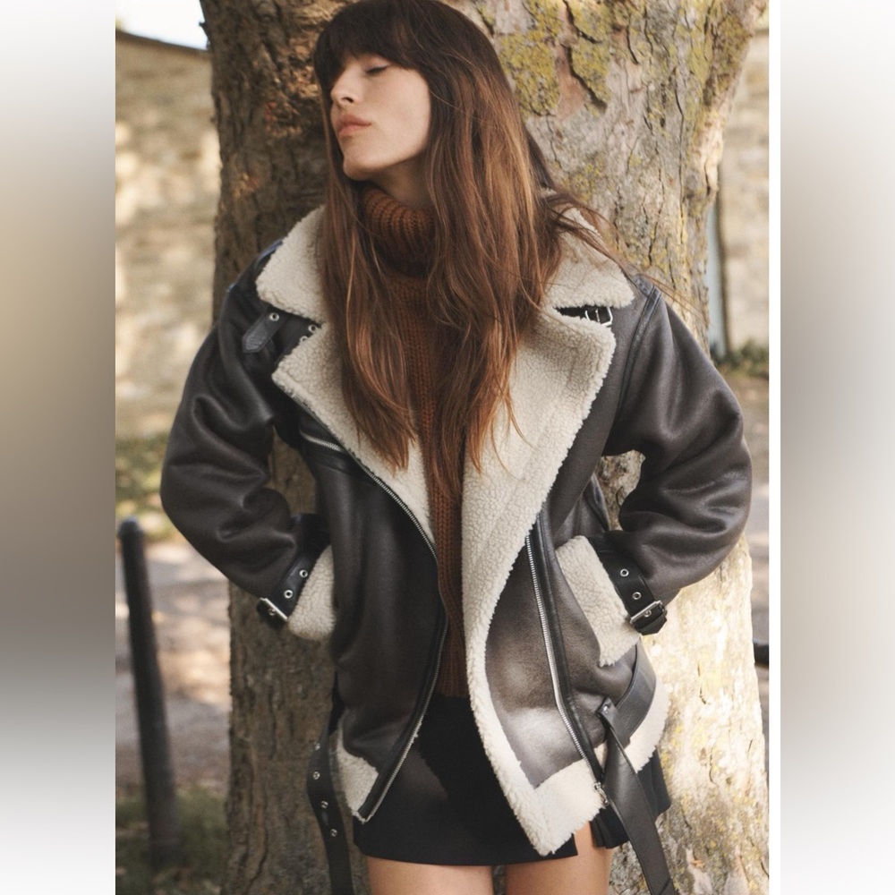 Zara Dark Brown double faced shearling Jacket